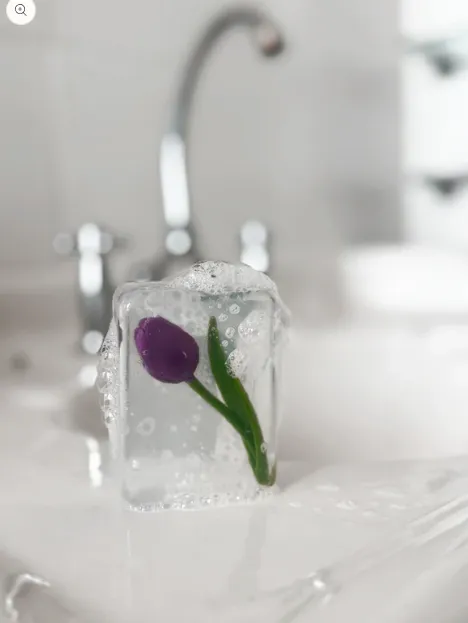 Screenshot 2026-03-19 10.51.05.webp