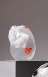 Screenshot 2026-03-20 09.04.14.webp