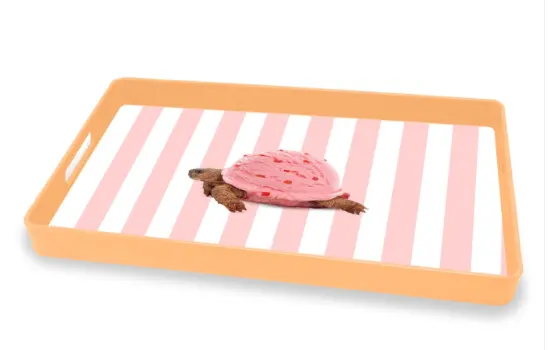 Screenshot 2025-11-07 11.43.55.webp