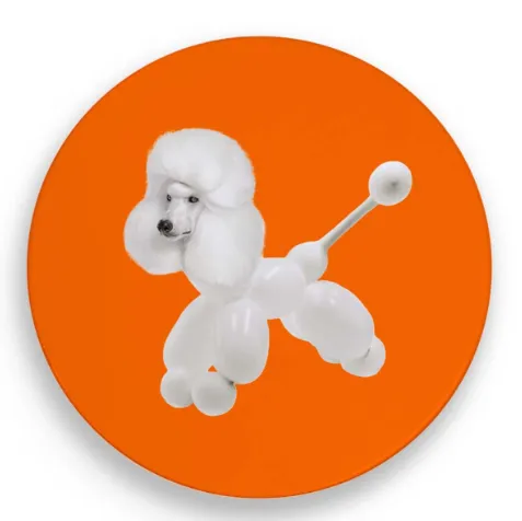 Screenshot 2026-01-08 11.35.17.webp