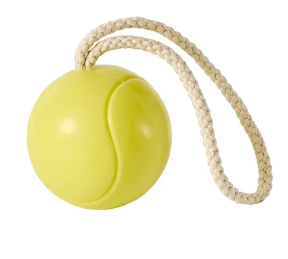 Screenshot 2026-02-20 12.46.55.webp