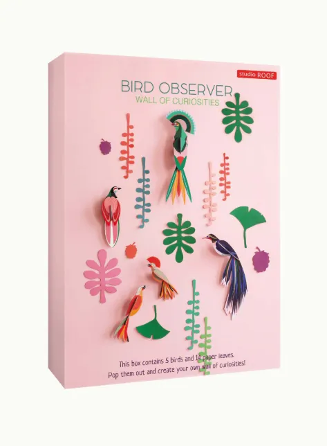 Screenshot 2026-02-24 15.42.51.webp