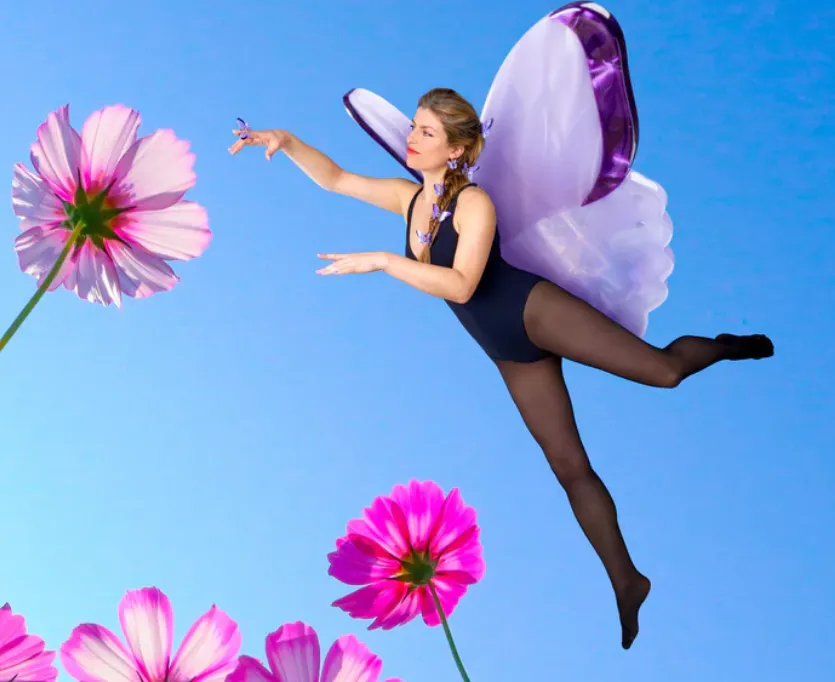 Pince - Papillon mauve