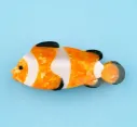 Pince - Poisson clown