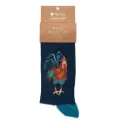 Chaussette Homme - Coq