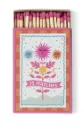 Matches - Soleil