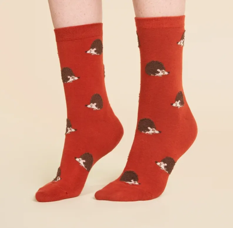 Chaussette - hérisson