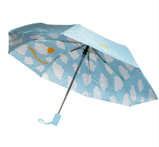 Parapluie - DANCING IN THE RAIN