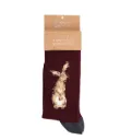 Chaussette Homme - Lapin