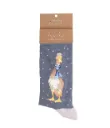 Chaussette Homme - Canard