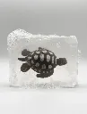 Savon Ludi Soap - Tortue à tâches