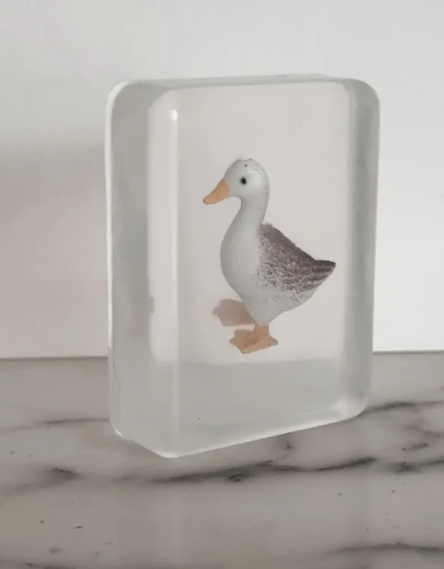 Savon Ludi Soap - Canard
