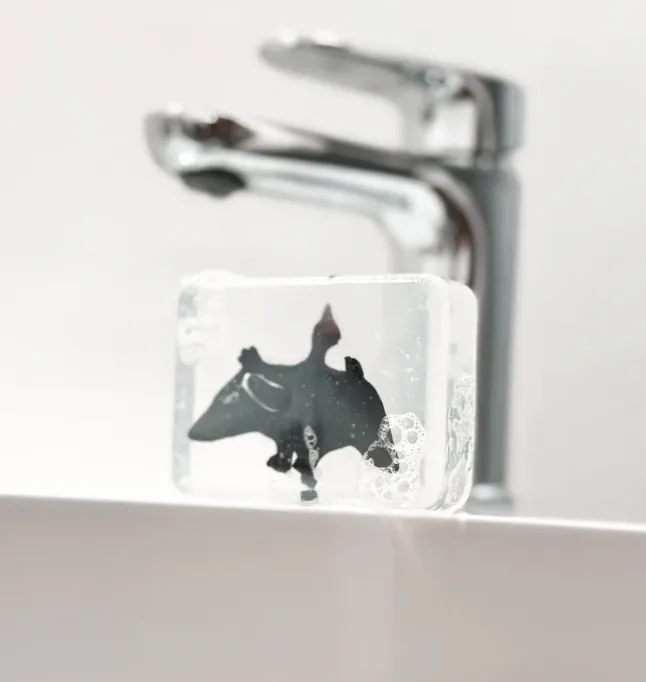 Savon Ludi Soap - Dino