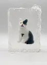 Savon Ludi Soap - Chat