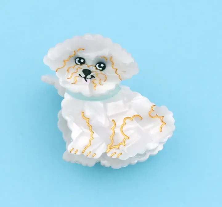 Pince - Bichon