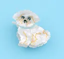 Pince - Bichon